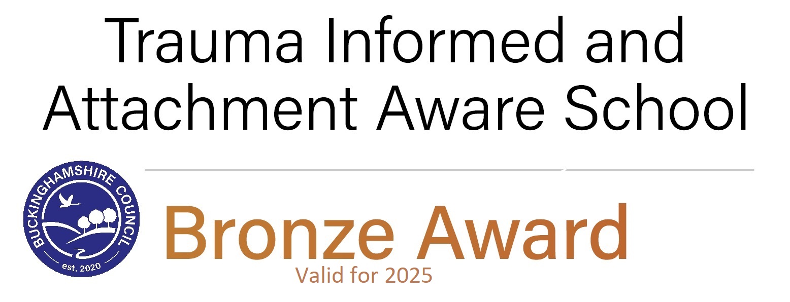 Trauma Informed and Attachment Aware