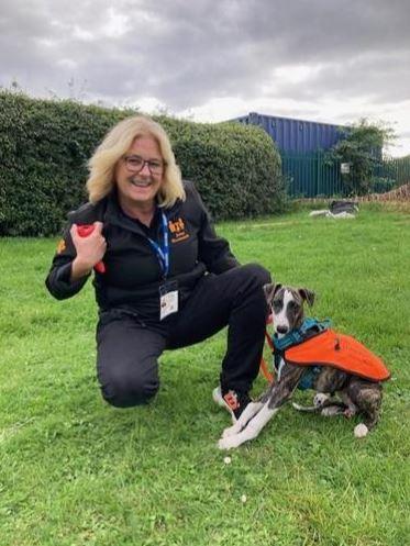 The Dog Mentor has assessed Monty to work in our school 